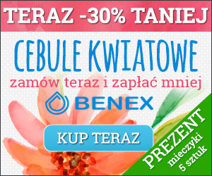 cebulki kwiatowe - sklep BENEX